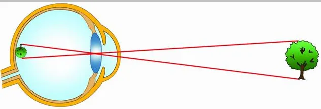 plano convex lens supplier