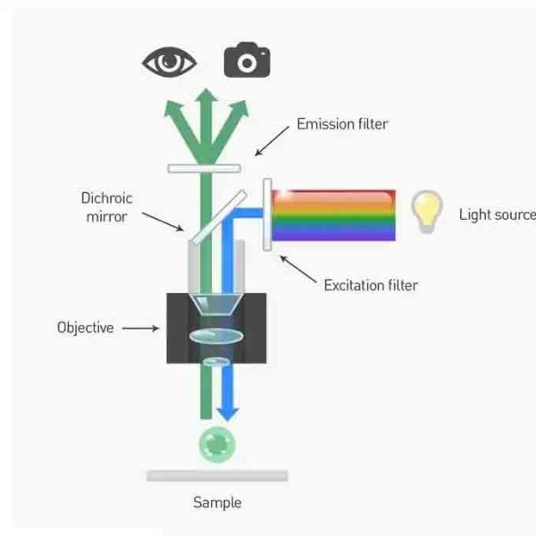 beam splitters